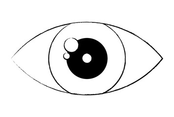 human eye icon over white background, vector illustration