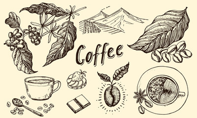 Traditional Filter Coffee Maker. Modern vintage elements, percolator, plants, grain and kettle for the shop menu. Vector illustration. engraved hand drawn in old sketch for card, badges, labels.