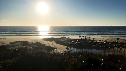 Landscape of Porto Covo beach, Portugal at sunset.