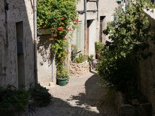 Fototapeta na wymiar narrow alley in semi-shade, southern France,Pot and tub plants, typical sandstone for houses, coarse cobblestones, pipes for installations on the walls,