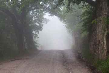 Obraz premium road in misty forest