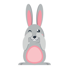 cute rabbit icon over white background, colorful design. vector illustration