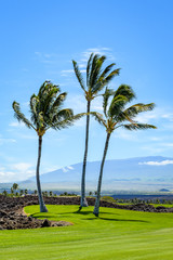 Fototapeta na wymiar Sunny day on a tropical golf course fairway with the putting green in the distance surrounded by palm trees and sand traps, lava rock, blue pacific ocean, and blue sky and white clouds in background