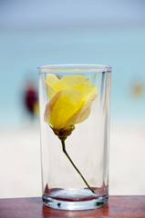 Yellow flowers in the glass on the beach.