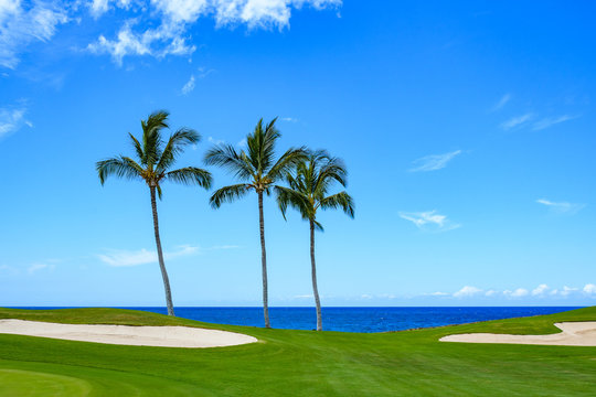 Sunny day on a tropical golf course fairway with palm trees, sand traps, blue pacific ocean, and blue sky and white clouds in the background
