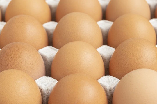 close up of chicken eggs in paper tray