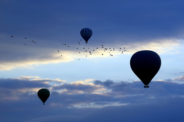 balloons with people flying in the background of a flock of birds in the dawn sky of Cappadocia