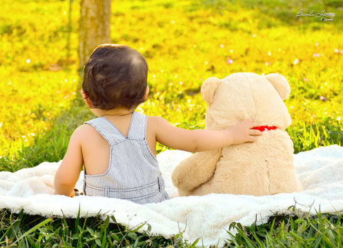 Amigo urso