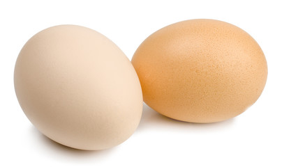 Chicken eggs isolated on white
