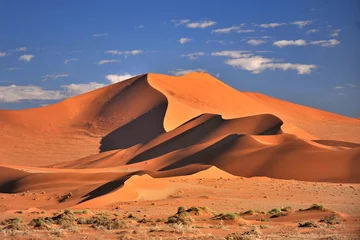 Selbstklebende Fototapete Sandige Wüste Namibia. Rote Dünen in der Namib-Wüste