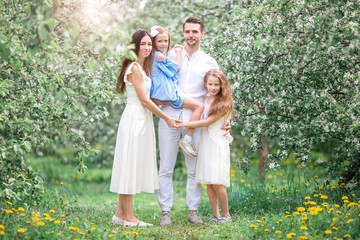 Obraz premium Adorable family in blooming cherry garden on beautiful spring day
