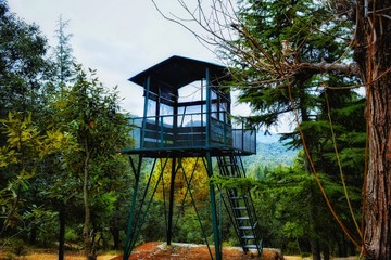 Watchtower in Khirsu forest