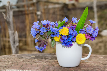 Bouquet of primroses blue lungwort in white enameled metal mug on table and vintage background,...