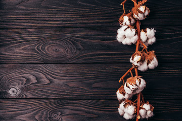 A branch of dry cotton on a wooden surface