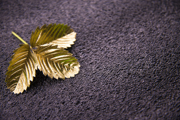 Gold leaf on dark background