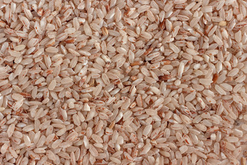 Red rice Samarkand, background or texture.