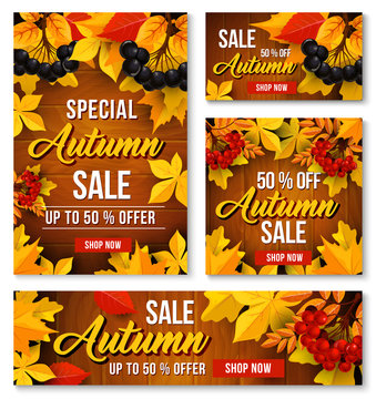Autumn sale online discount vector poster, banner