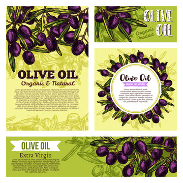Olive oil creative banners