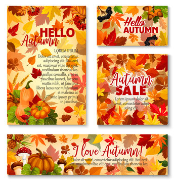 Hello Autumn, fall season sale banner template set