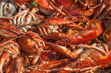 Texture of boiled crayfishes