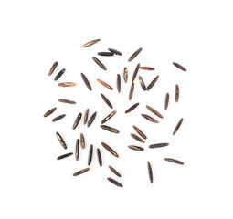 Raw Black Wild Rice Grains Isolated