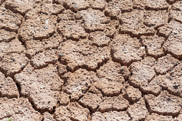 Dry soil texture