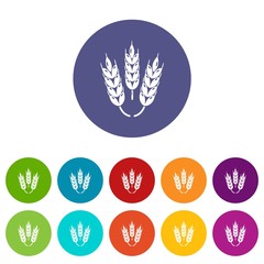 Juicy Wheat icons color set vector for any web design on white background