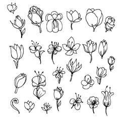 Hand drawn Sketch doodle vector line Flower icon element set eps10