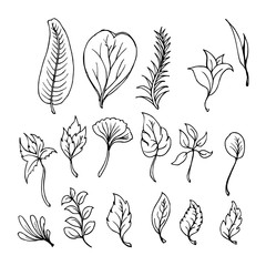Hand drawn Sketch doodle vector line Leaf icon element set eps10