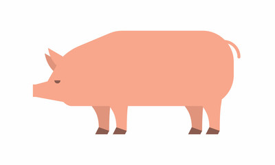 Pig icon. flat style. isolated on white background