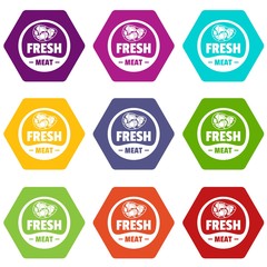 Obraz premium Eco fresh meat icons 9 set coloful isolated on white for web