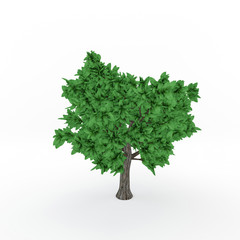 Abstract tree. Isolated on white background. 3D rendering illustration.