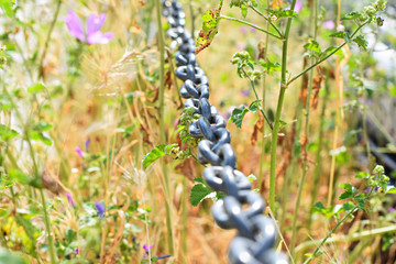 Horizontal big silver chain link in the spring field
