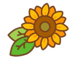 Fototapeta premium ひまわり