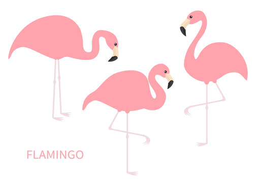 Pink flamingo icon set. Three exotic tropical bird. Zoo animal collection. Cute cartoon character. One leg. Looking on the ground. Decoration element. Flat design. Isolated. White background