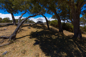 Blue sky through trees at Maido in Saint-Paul, Reunion Island