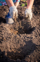 The manure in the garden in the spring
