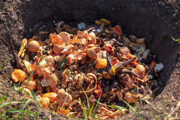 Garbage food waste in a ground pit in nature