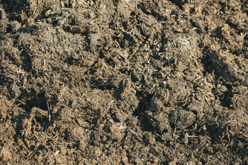 Fertilizer from manure as an abstract background