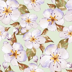 Floral seamless pattern 7. Watercolor background with white flowers