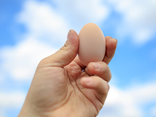 Egg of chicken in hand against the blue sky