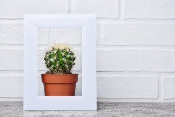 Red flower pot with small cactus in white frame with copy space