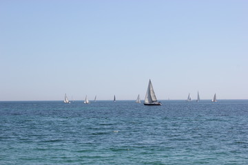 Fototapeta premium Segelboot
