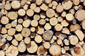 Background of firewood stacked in the woodpile