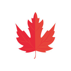 Vector Illustration. Red Maple leaf. Autumn icon leaf