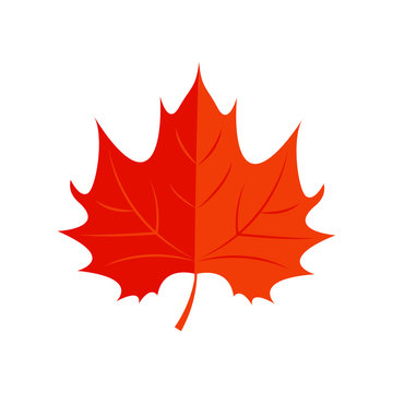 Vector Illustration. Red Maple leaf. Autumn icon leaf