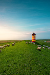 Fototapeta na wymiar A beautiful lighthouse on the East Frisian coast