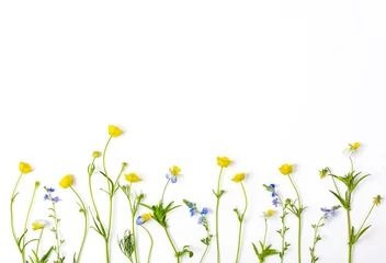 Wall murals Pansies Meadow flowers with field buttercups and pansies isolated on white background. Top view with copy space. Flat lay.