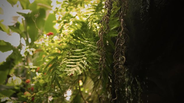 Color graded sepia tropical waterfall in lush jungle
