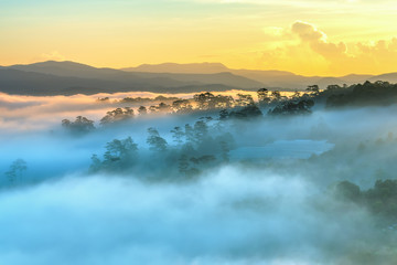 Dawn on the plateau pine forests covered with fog shrouded so beautiful idyllic countryside Dalat plateau, Vietnam